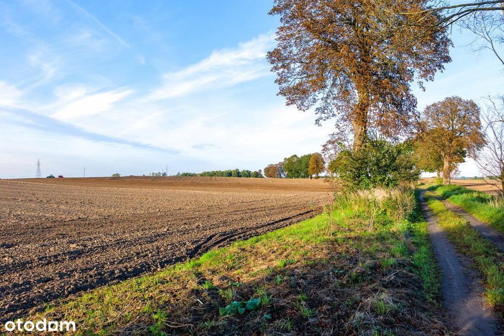 Działka z potencjałem – Sławno | Bobrowiczki