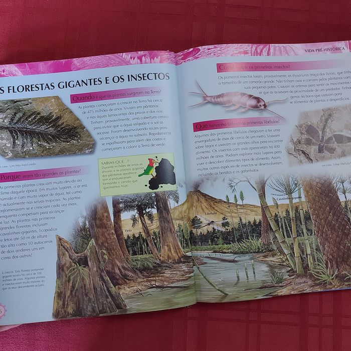 A Enciclipédia do Conhecimento NOVA