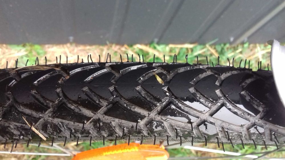 rower damka niemiecka pegasus