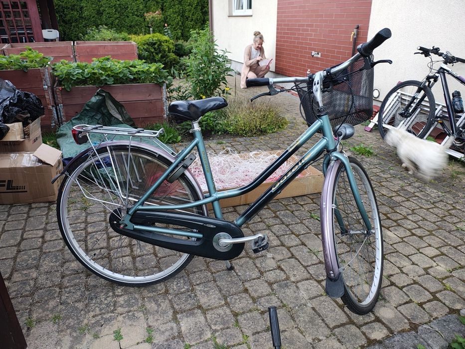 Rower holenderski retro Gazelle Orange (damka)