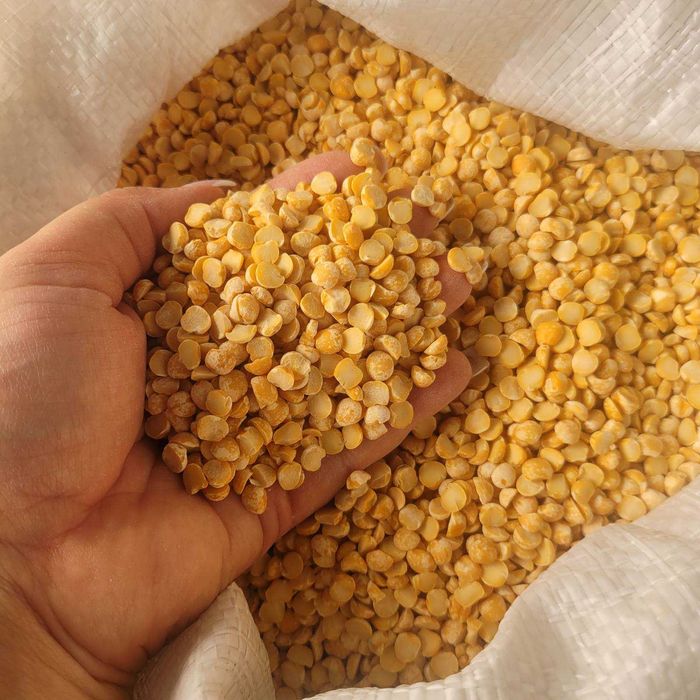 Горох колотий оптом