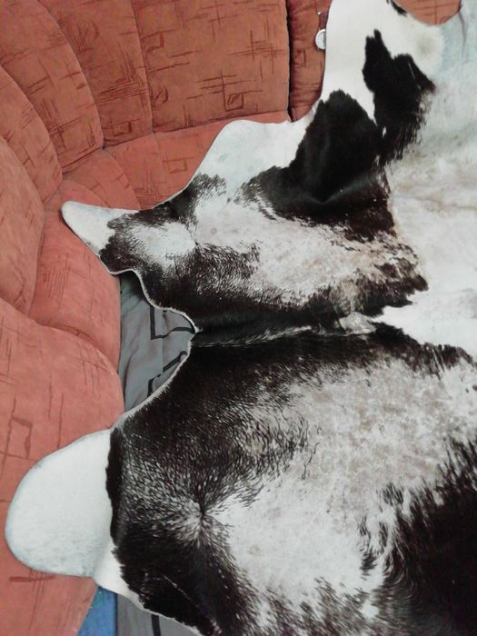 Килим натуральний в вітальню Шкіра корови