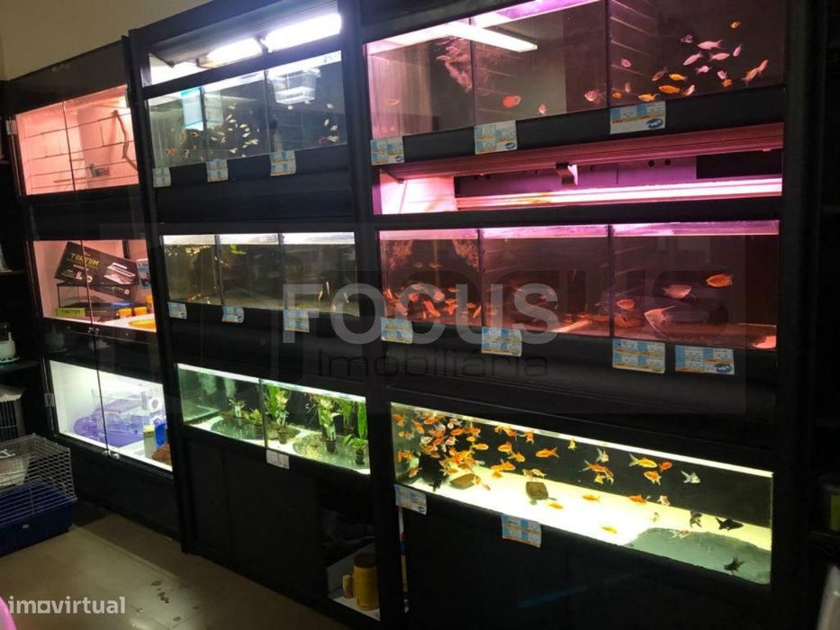 Loja de Animais / Florista / Decoração - Trespasse