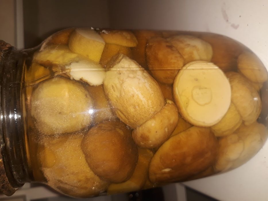 Мариновані гриби білі та сухі гриби