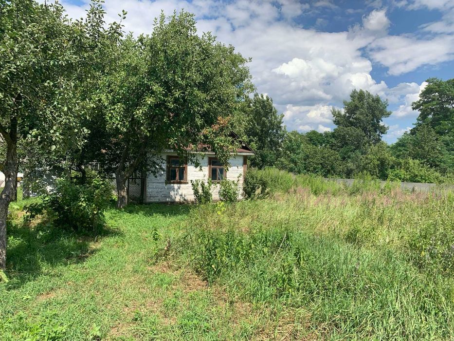 Будинок під реконструкцію з ділянкою в селі Ремель