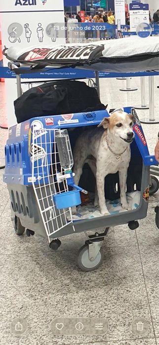 Vendo caixa de transporte