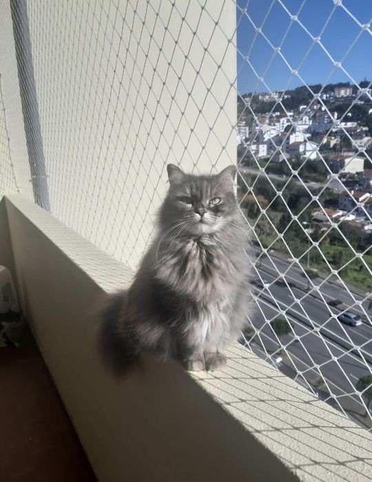 Redes de proteção