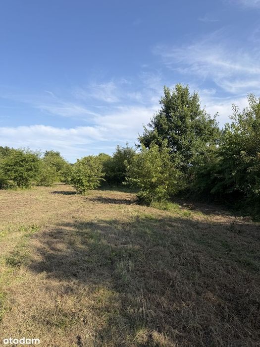 Wyjątkowa działka nad morzem 1 819 m² blisko plaży i Kołobrzegu