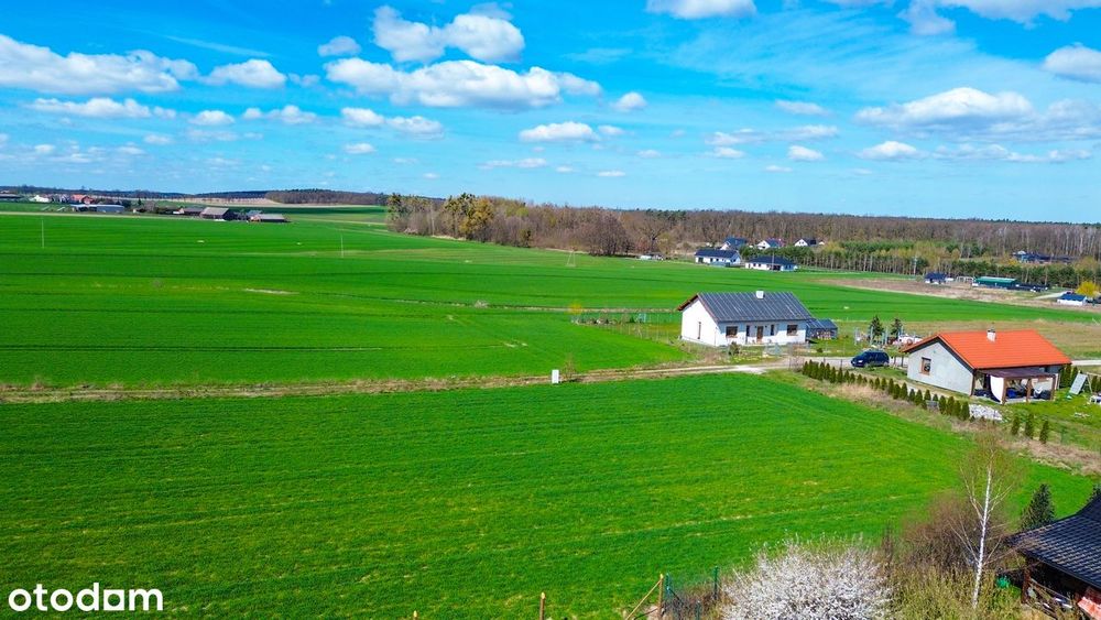 Działki pod Lasem od 1003m2