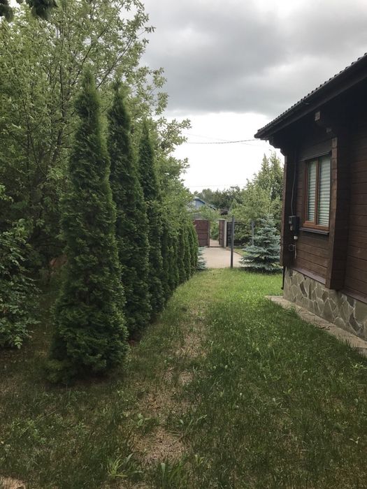 Продам новий дім із дерев'яного бруса , с Киїнка