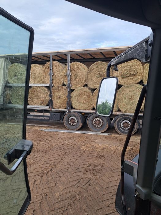 Siano dobrej jakości dla koni dydła gryzoni / baloty siana Transport