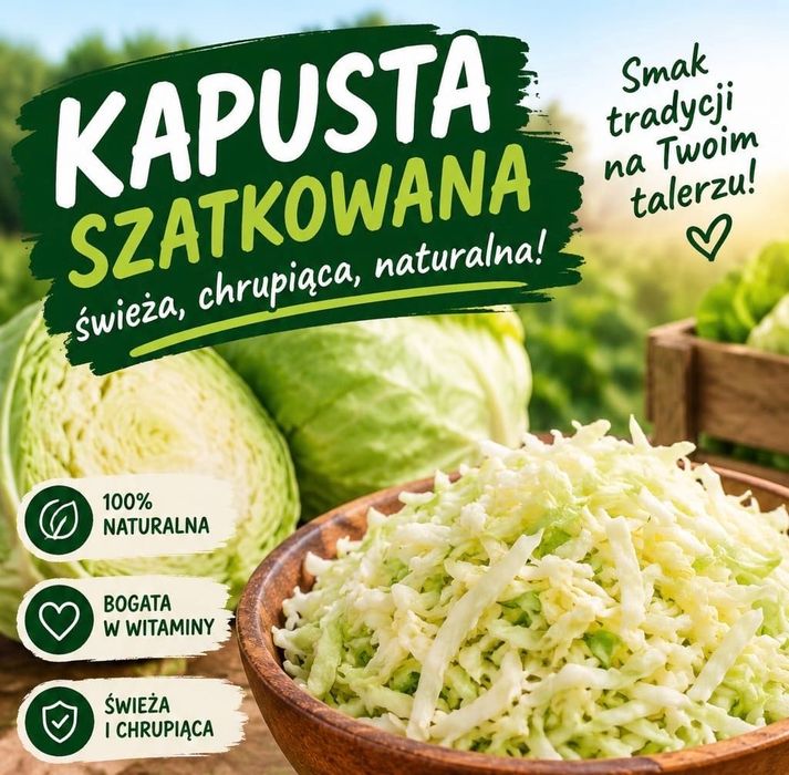 Świeża kapusta szatkowana/główki JUŻ OD 1 zł/kg