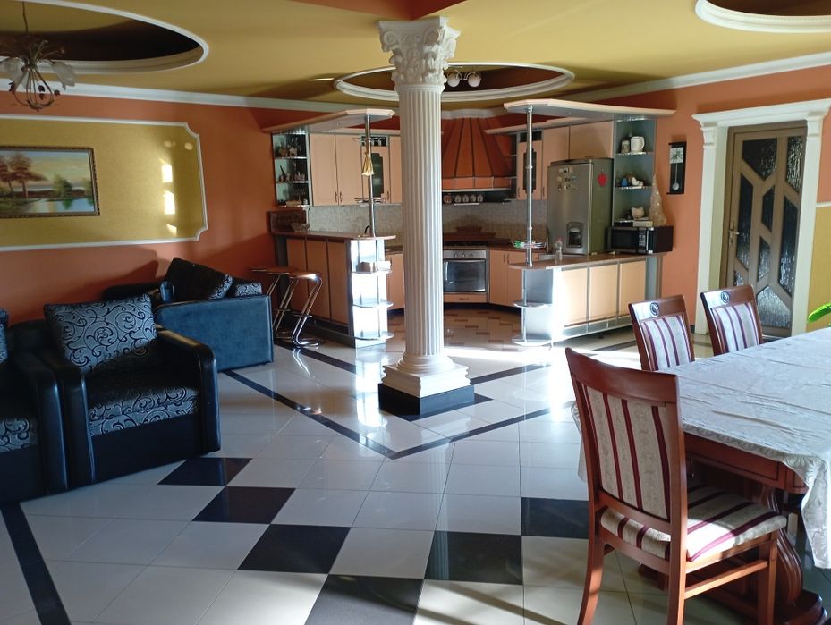 Дім 200 м2 ділянка 12 сотин Берегово Виноградна