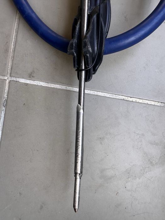 Pesca submarina Rob Allen Sparid