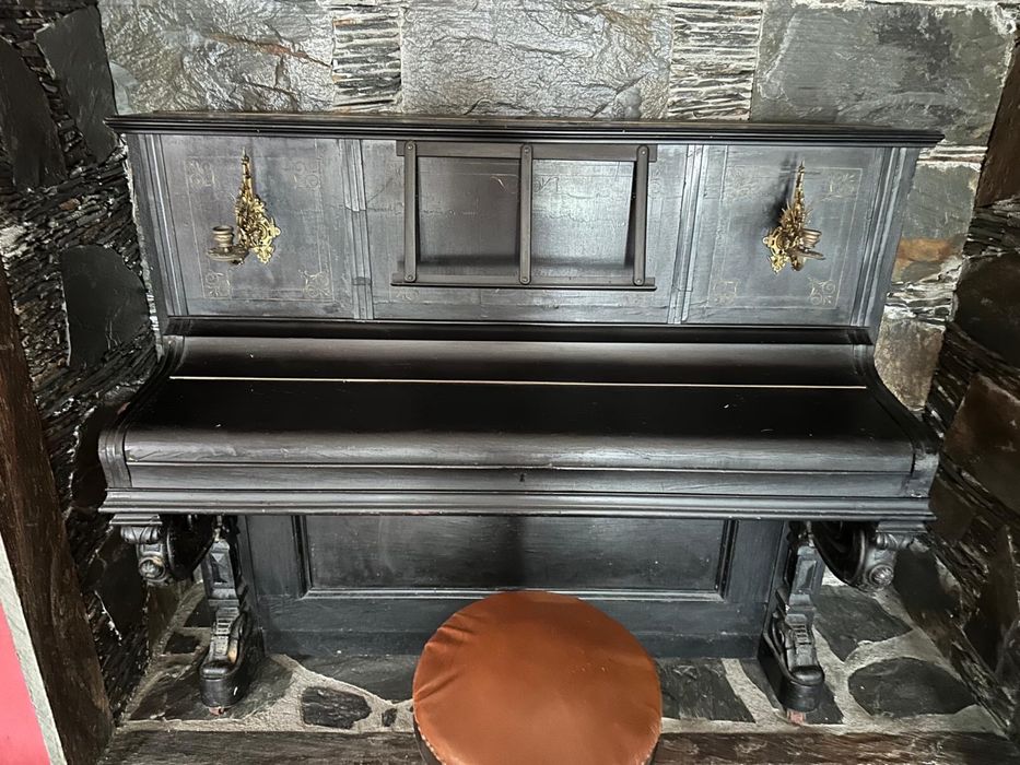 Piano Carl Puls