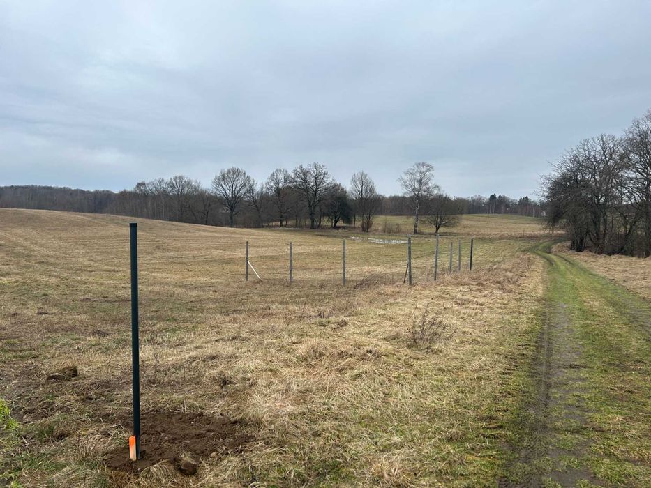 Malownicza działka nad Jeziorem Siecino - 8000m2