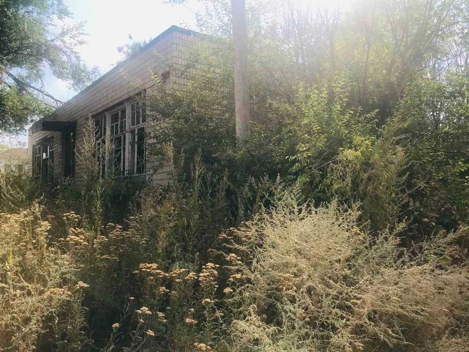 Магазин - Любимівка, Софіївський р-н, Дніпропетровська обл. Власник