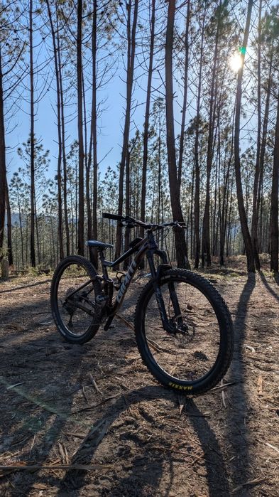 Giant stance 29 M (com upgrades)