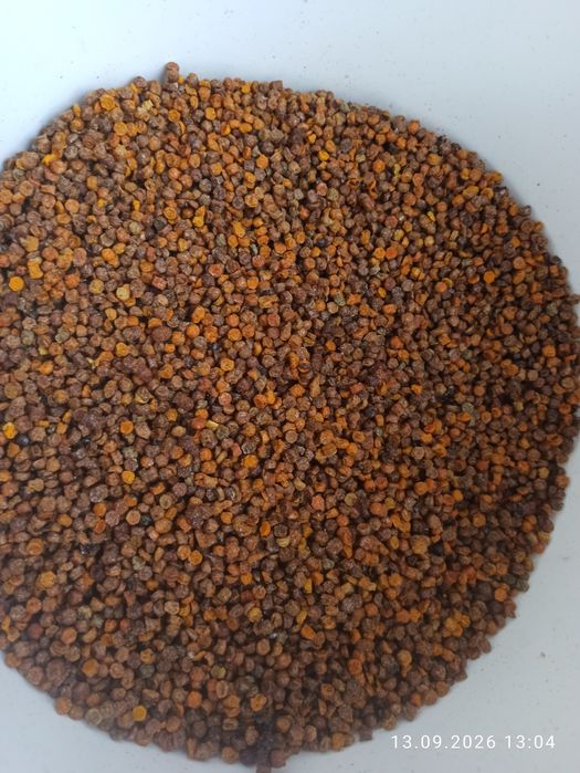 Продам свіжу пергу (дрібна фракція)