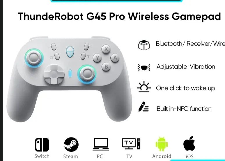 Thunderobot g45 pro