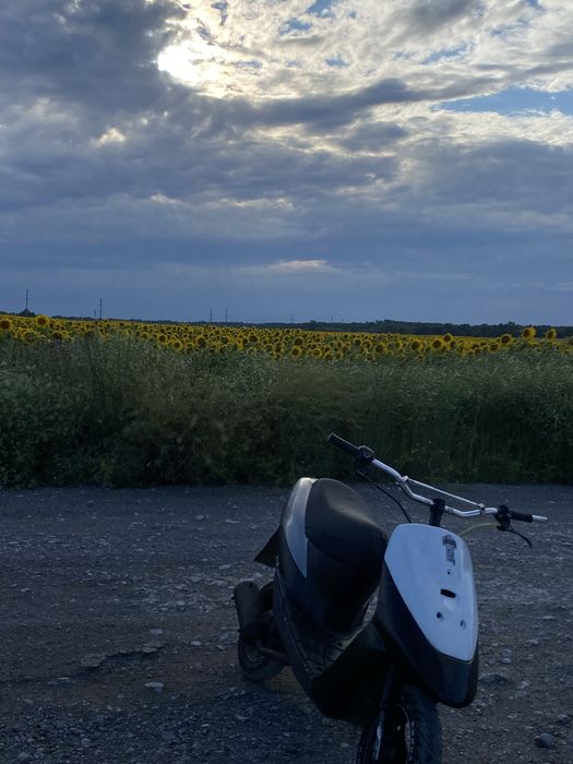 Suzuki lets 2 old