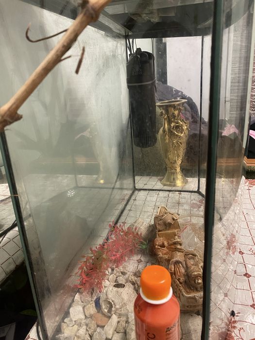 Акваріум 80 літрів