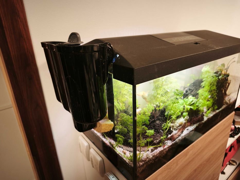 Akwarium 50L, 60x30x30, rybki, filtr kaskadowy, lampy, karmnik ozdoby