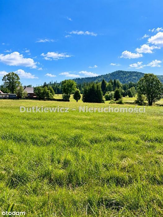 Zdjęcie 7