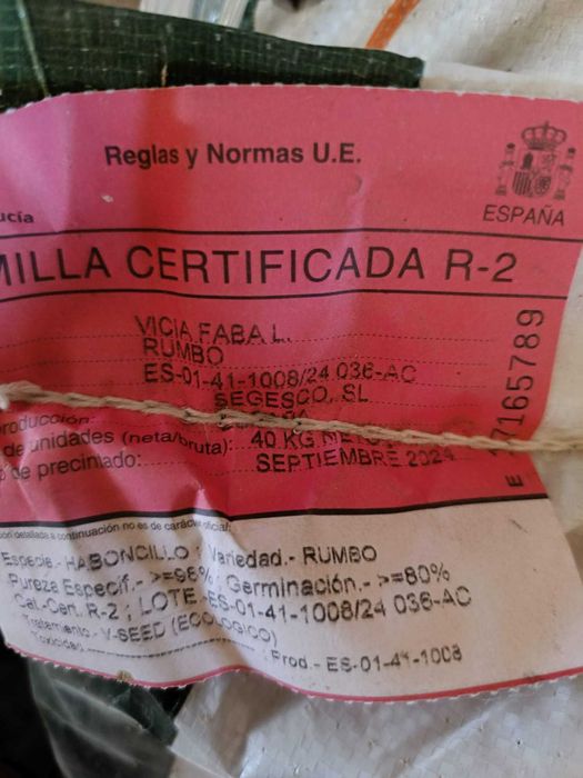 Semente certificada Fava