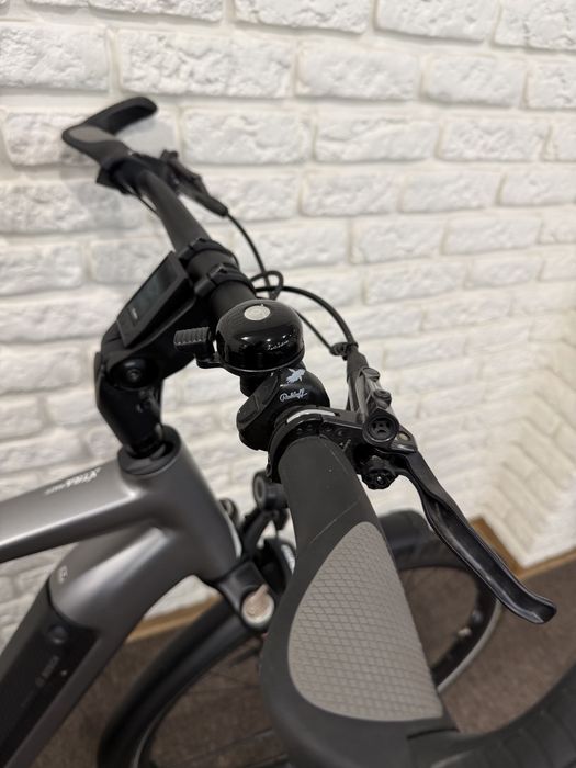 Rower elektryczny na pasku Rose Xtra Watt Rohloff