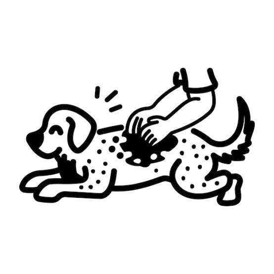 Masaż dla psów, masaż terapeutyczny