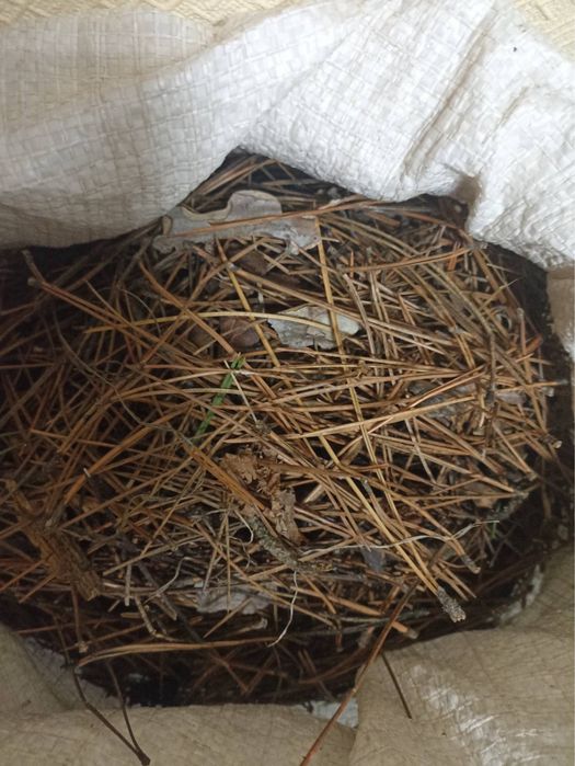 Хвойний опад (мульча)