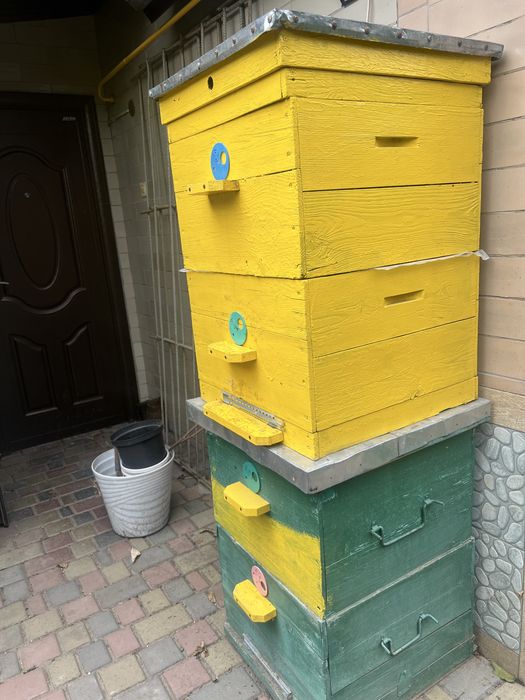 Продаю вулики дадан б/у.