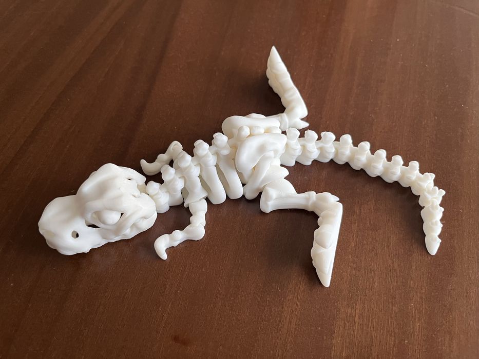 Szkielet dinozaura  T-Rex