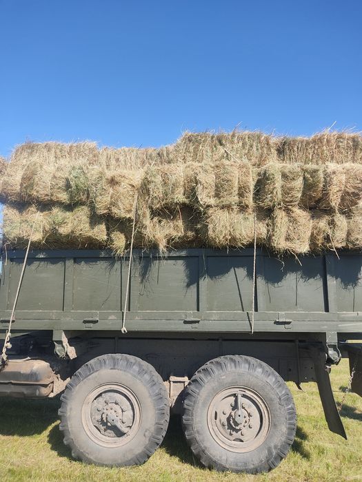Продам сіно лугове в тюках 2025 і солому в тюках