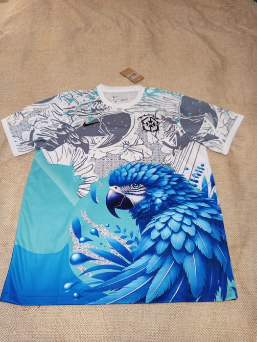 Brasil e clubes brasileiros futebol