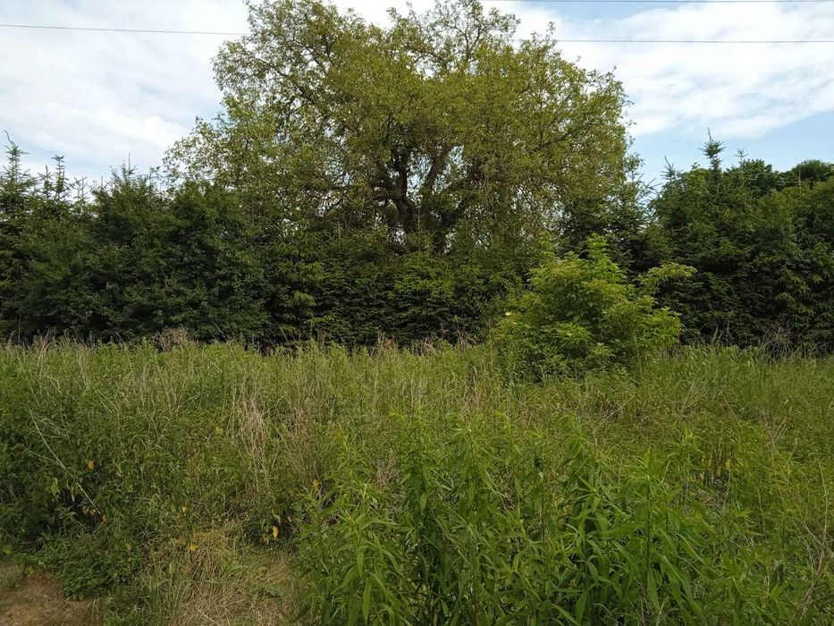 Działka 1283 m² Obrzycko - Widok 4