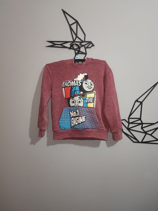Bluza z kapturem dla chłopca Tomek i Przyjaciele 98/104