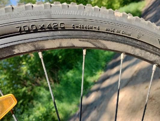 Rower Kellys phanatic