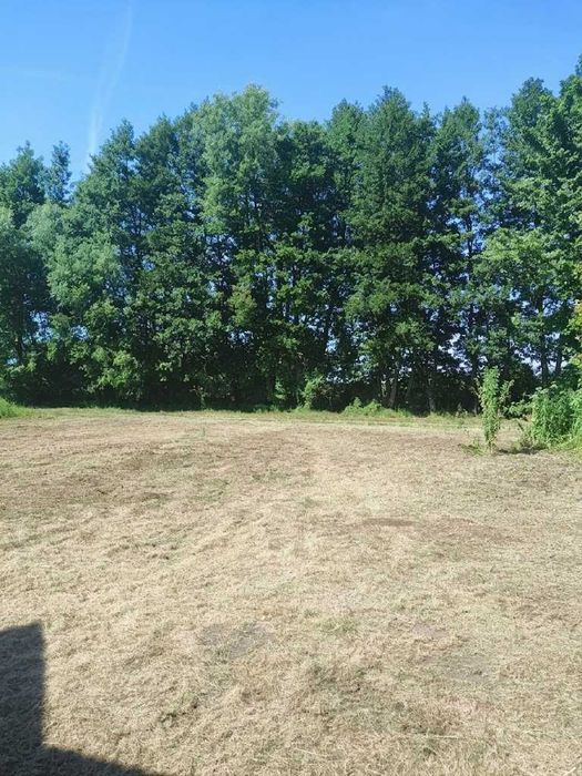 Działka Zamek Bierzgłowski 1000 m - Widok 5