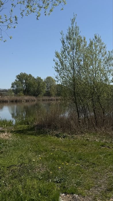 Земельна ділянка у Вінницьких Хуторах.