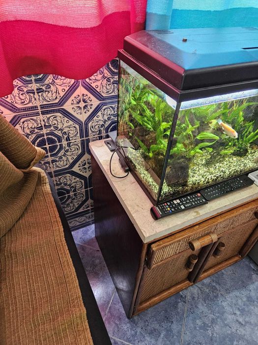 Conjunto mobília Bambu