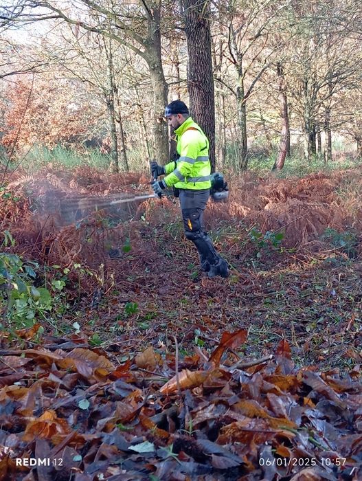 Limpezas de jardins e terrenos