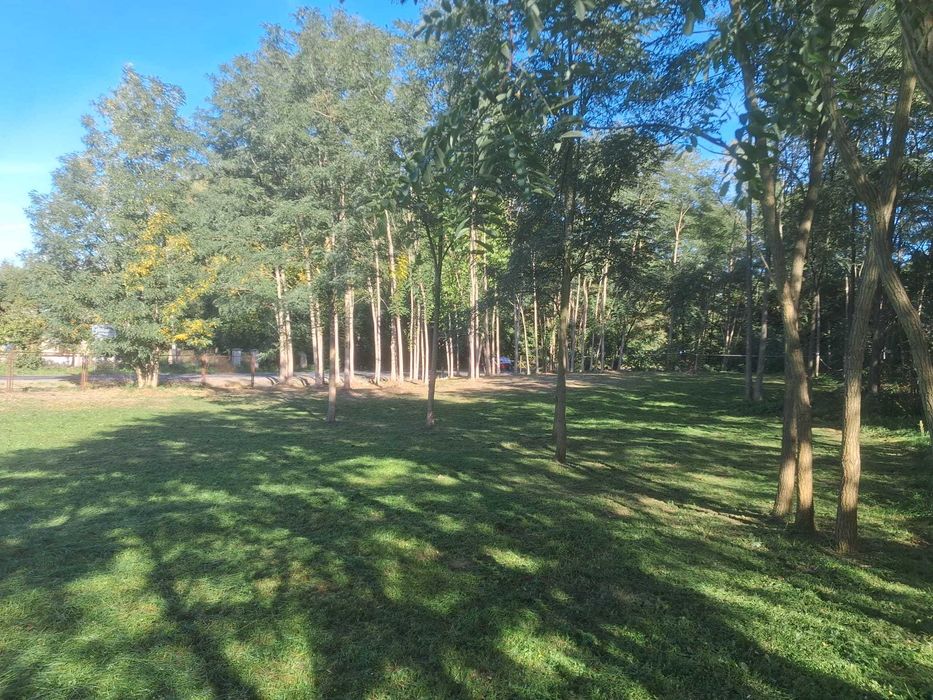 Działka pod dom przy lesie i Zbiorniku Jeziorsko – 1158 m², WZ bezterminowa - Widok 4