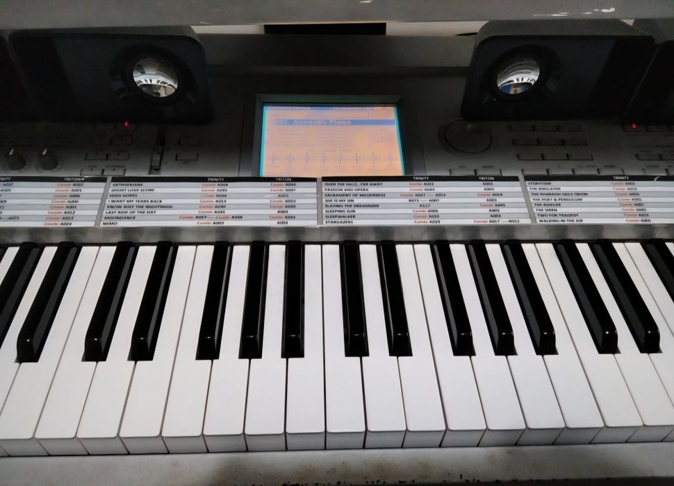 KORG Trinity + KORG Triton + extras