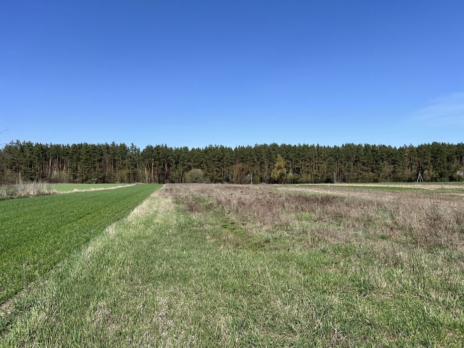 Продаж Земельна ділянка. Без комісії %