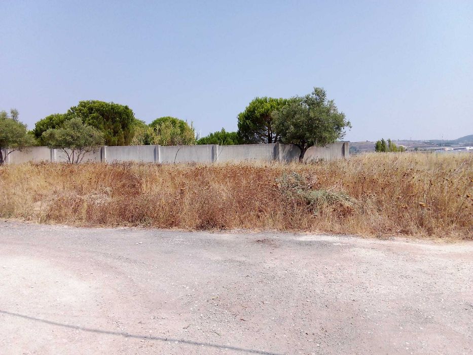 Terreno para Venda em São Julião do Tojal