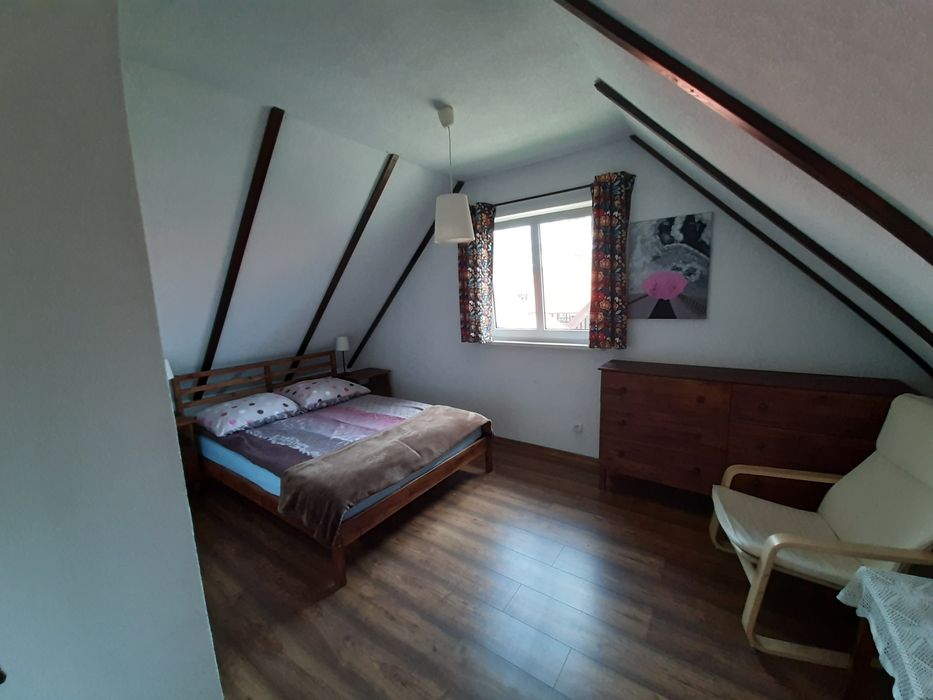 Wolny termin na  MAJÓWKĘ I LATO