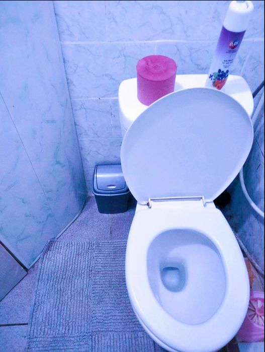 .Центр посуточно  1 ком . квартира 4 спальных мест, отопление газ.