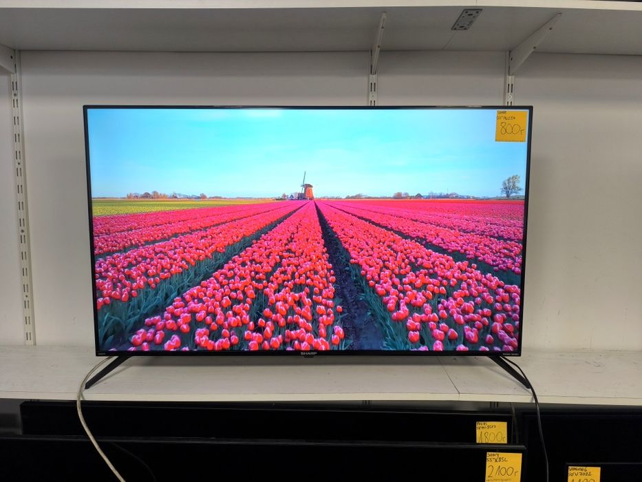 Sharp 50 cali 4K UHD hdr Smart Android WiFi DVB-T2 50FN2EA gwarancja 3m telewizor